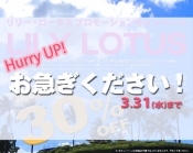 お急ぎください！キャンペーンは今週水曜日まで！