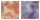color1 color1