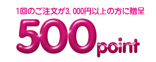 500ポイント贈呈