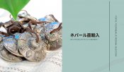 ネパール直輸入東京ヨガウェアオリジナルセレクトティンシャ