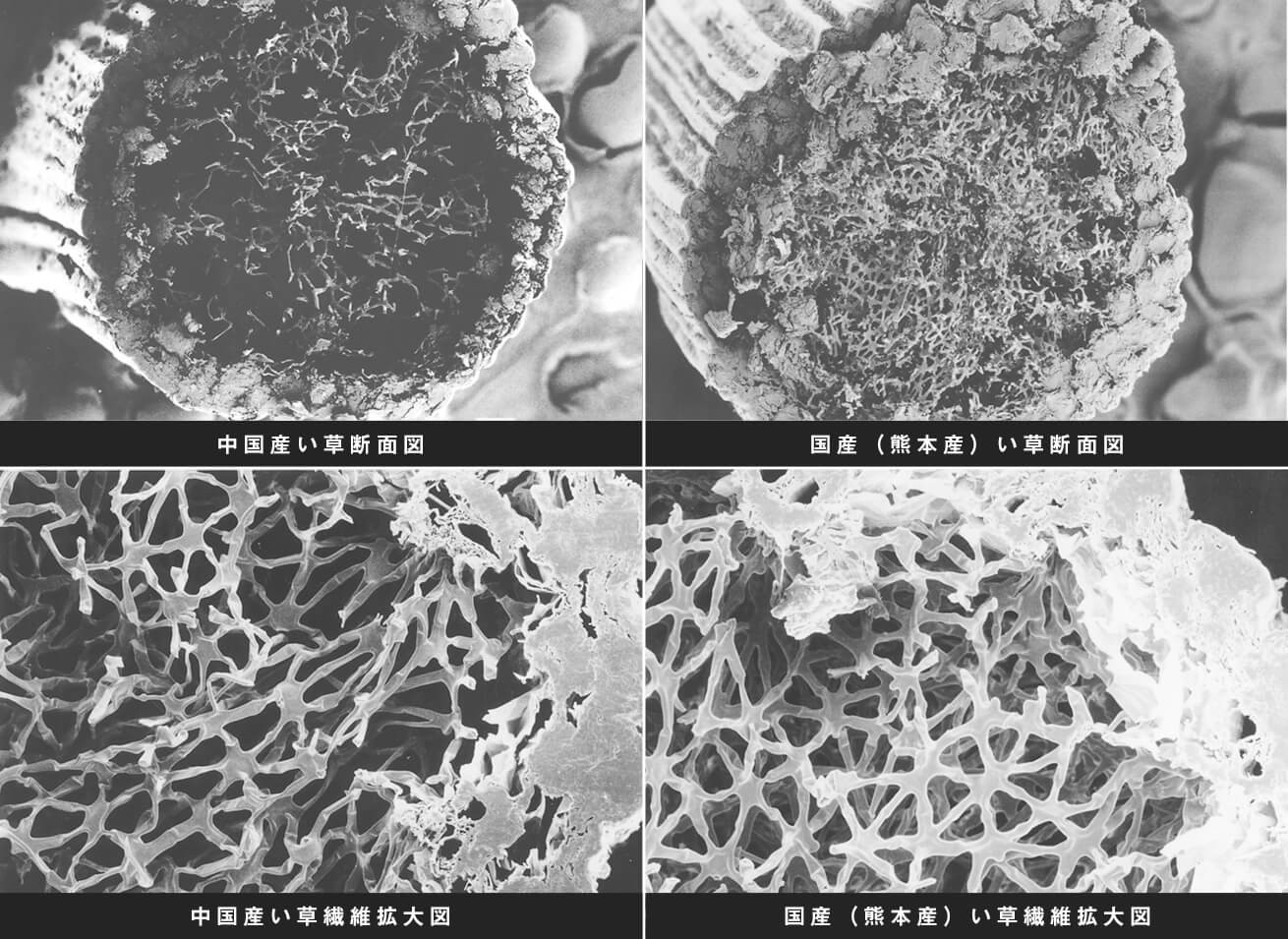 畳ヨガ｜お洒落で可愛い新感覚のヨガマット