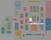 yogafest2019-02